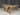 Alders Picnic Table and Benches Set with Backrest – Wooden Outdoor Dining Set for Gardens and Patios