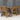 Victoria Rounded Picnic Table and Benches Set With Backrest - Rustic Finish Wooden Outdoor Dining Set for Gardens and Patios