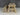 Victoria Space-Saving Rounded Picnic Table and Benches Set – Wooden Outdoor Dining Set for Gardens and Patios