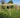 Corbel Wooden Garden Pergola Kit