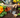 Summermix Compost Garden Mulch