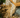Golden Gravel Chippings
