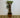 Salix Hybrid Americana Living Braided Willow Tree Sculpture 50cm, 15cm pot (50-07)