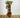Salix Hybrid Americana Living Braided Willow Tree Sculpture 50cm, 15cm pot (50-07)