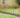 Bloom & Root® Rose Blend Topsoil
