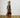 Salix Hybrid Americana Living Braided Willow Tree Sculpture 50cm, 15cm pot (50-02)
