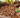 Premium Border Landscaping Bark Mulch