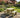 Aspen Rounded Picnic Table and Benches Set