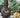 Chiminea Logs