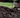 AutumnMix Compost Garden Mulch
