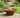 Heavy-Duty Pre-Rusted Metal Corten Steel Round Firepit