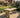 Hollies Rounded Wooden Garden Table, Outdoor Picnic Dining Desk