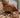 Chicken Coop Chips