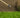 Lawnmix® Welsh Topsoil for lush lawns