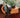 Close Contact GP Saddle Pad Orange
