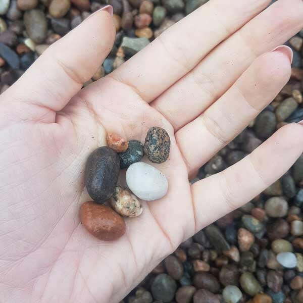 Pebbles8 Scottish Mini Pebbles 8-14mm Bulk Bag – Arbor Garden Solutions