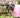 0g Detachable Neck Turnout Rug - Baby Pink