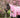 0g Detachable Neck Turnout Rug - Baby Pink
