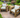 Solid Wood Garden Chair/Lounger Half set