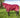 0g Detachable Neck Turnout Rug - Burgundy