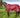 0g Detachable Neck Turnout Rug - Burgundy