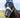 Horse Fly Mask With Nose - Cornflower