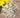 Cotswold Buff Gravel
