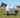 Fly Turnout Combination Rug - Cornflower