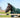 300g Detachable Neck Turnout Rug - Hunter Green