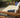 Solid Wood Garden Daybed