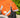 MINI 0g Turnout Rug - Orange