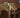 Wall Mounted Wooden Pergola Kit - Sculpted Design