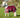 MINI 0g Turnout Rug - Burgundy