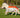 MINI Fly Turnout Combination Rug - Orange/Grey