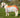 MINI Fly Turnout Combination Rug - Orange/Grey