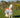MINI Fly Turnout Combination Rug - Orange/Grey