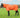 Mesh Fly Rug - Orange