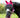 Horse Fly Mask With Nose - Pink