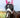 Horse Fly Mask - Baby Pink