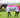 Horse Fly Mask With Nose - Pink