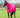 Mesh Fly Rug - Pink