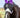 Horse Fly Mask - Purple