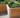 BedGrow® Raised Bed Welsh Topsoil Mix