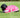 Waterproof Dog Coat - Raspberry