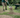 Topdressing Sand and Soil Mix for lawns