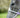 Horse Fly Mask With Nose - Violet
