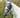 Horse Fly Mask With Nose - Violet