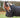 WIDE FIT 50g Horse Rug Liner
