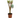 Salix Hybrid Americana Living Braided Willow Tree Sculpture 50cm, 15cm pot (50-06)