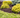 Wintermix Compost Garden Mulch